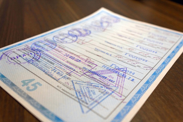 Стоимость медицинской справки для получения или замены водительских прав увеличится с 2000 до почти 7000 рублей